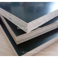 18mm finger jointed Film faced plywood sheet for middle east market made in China